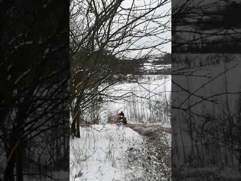 ✪Šilutės Bagiai/Keturračiai✪
