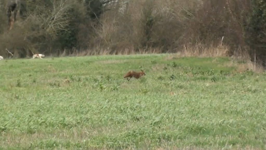 North Cotswold Hunt – 2019 m. vasario 20 d