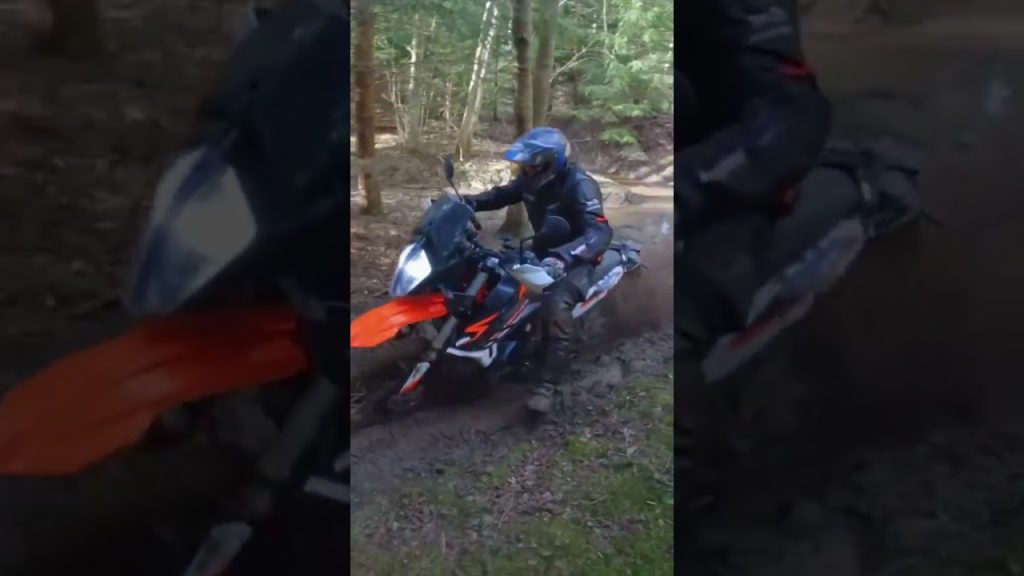 Almost hit a tree!