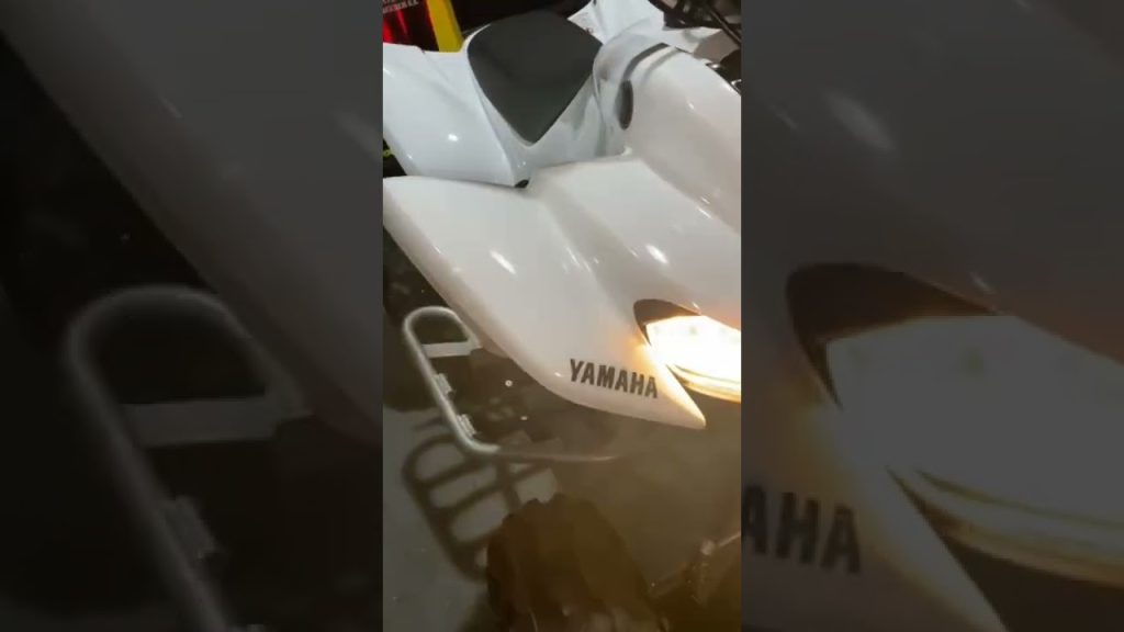Yamaha yfm350 raptor 350
